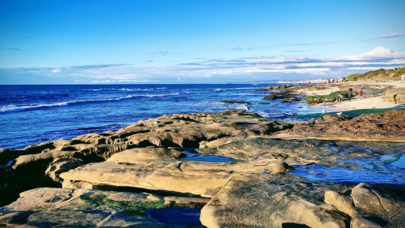 Cuvier Park - La Jolla, CA