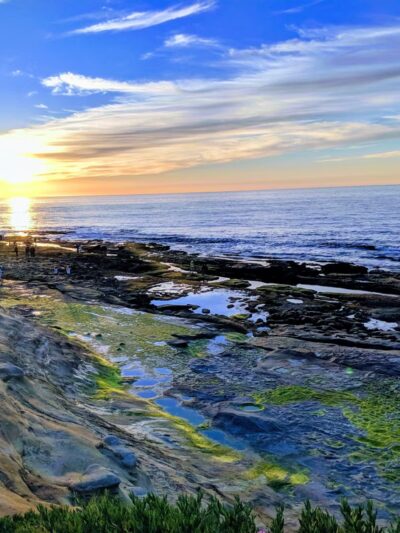 Cuvier Park - La Jolla, CA