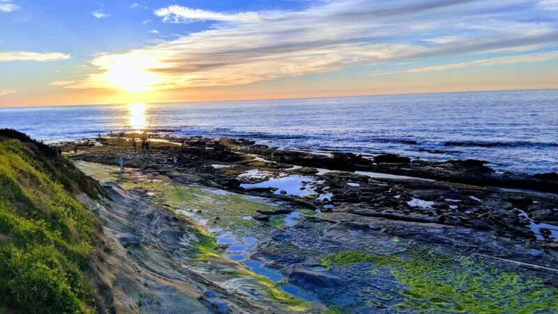 Cuvier Park - La Jolla, CA