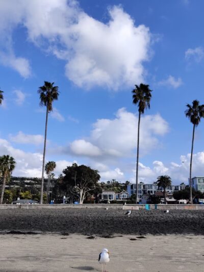 Kellogg Park - La Jolla, CA
