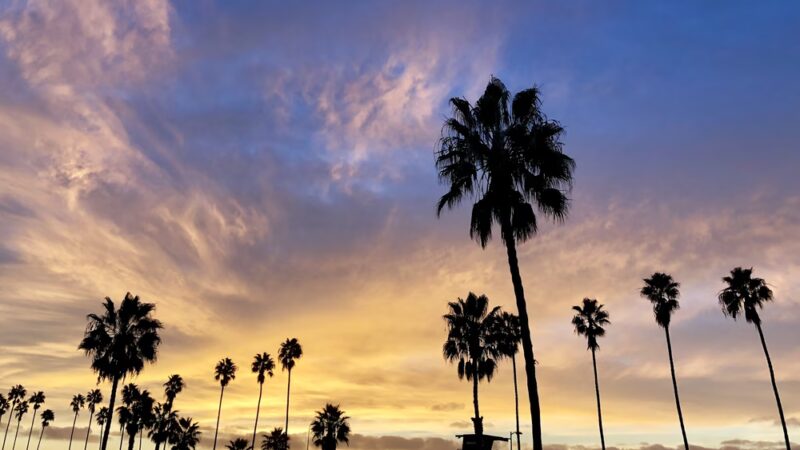 La Jolla Shores Park - La Jolla, CA