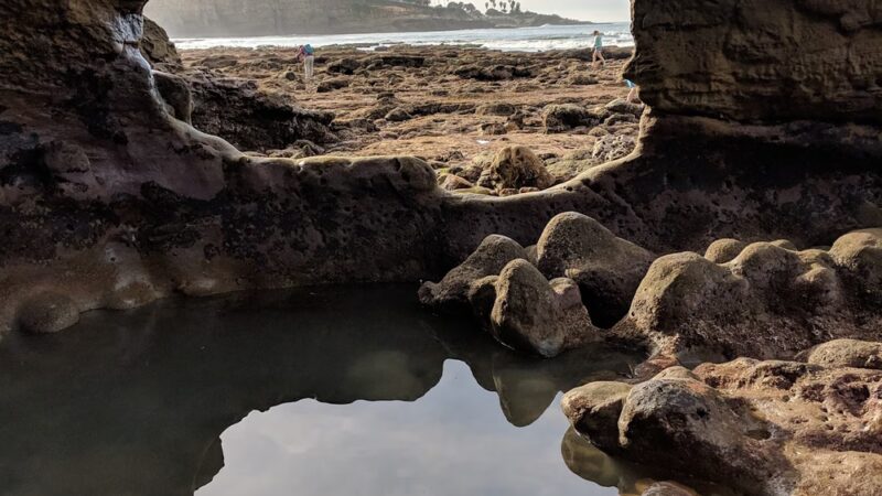 San Diego - La Jolla Underwater Park - La Jolla, CA