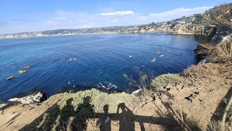 San Diego - La Jolla Underwater Park - La Jolla, CA