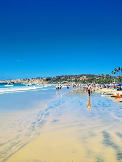 San Diego - La Jolla Underwater Park - La Jolla, CA