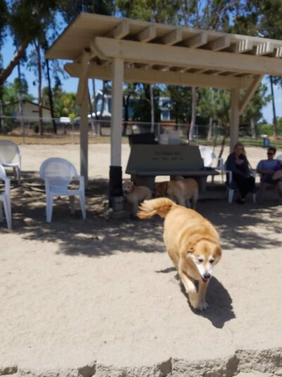 Canine Corners Dog Park - La Mesa, CA