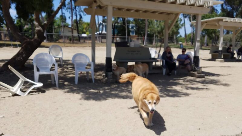 Canine Corners Dog Park - La Mesa, CA