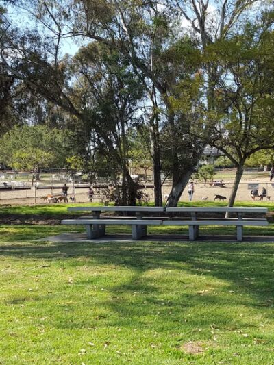 Canine Corners Dog Park - La Mesa, CA