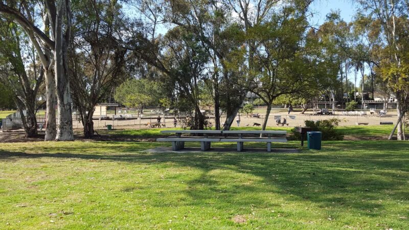 Canine Corners Dog Park - La Mesa, CA