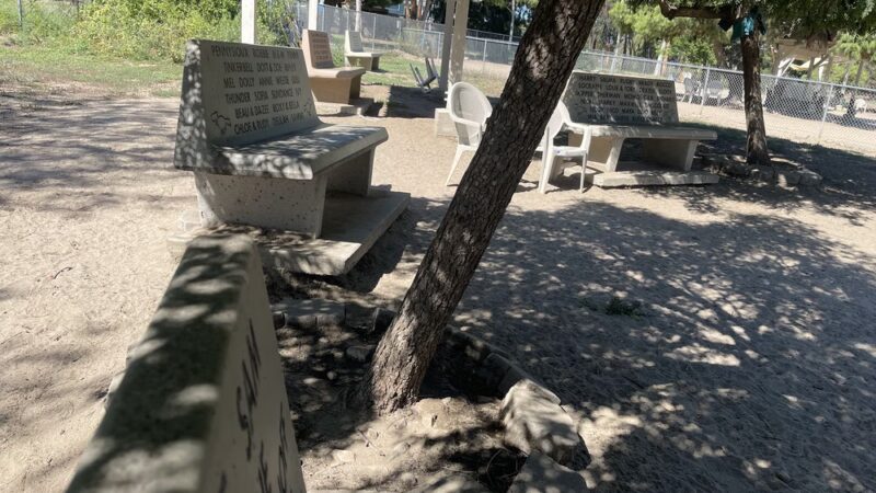 Canine corners parking - La Mesa, CA