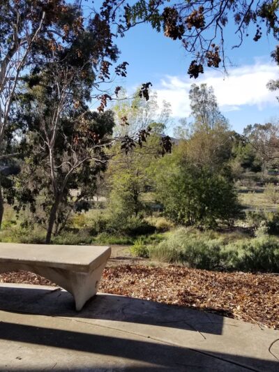 Harry Griffen Park - La Mesa, CA