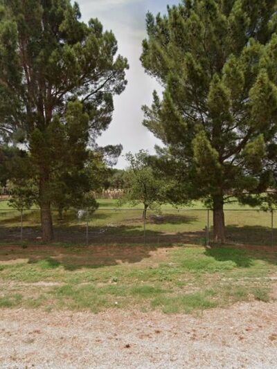 Las Cruces Dog Sports - La Mesa, NM