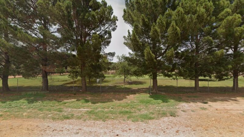 Las Cruces Dog Sports - La Mesa, NM