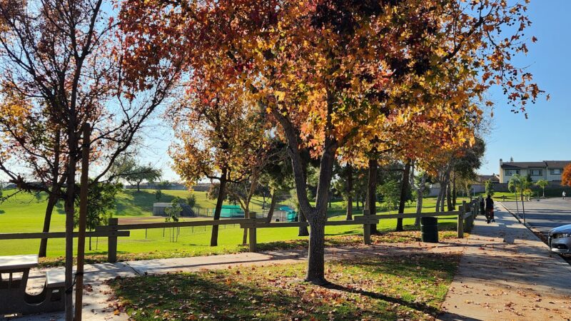 Behringer Park - La Mirada, CA