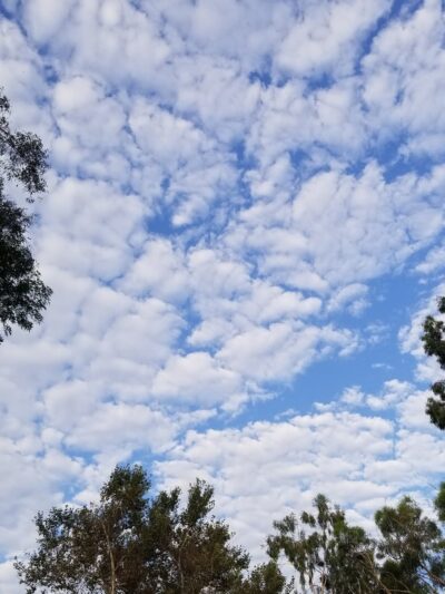 Oak Creek Park - La Mirada, CA