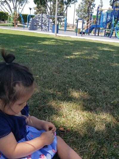 La Mirada City Gardenhill Park - La Mirada, CA