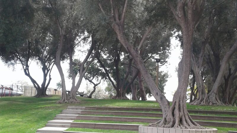 La Mirada City Gardenhill Park - La Mirada, CA