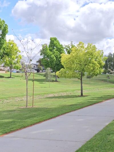 La Mirada Creek Park - La Mirada, CA