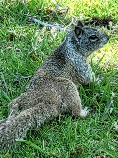 La Mirada Creek Park - La Mirada, CA