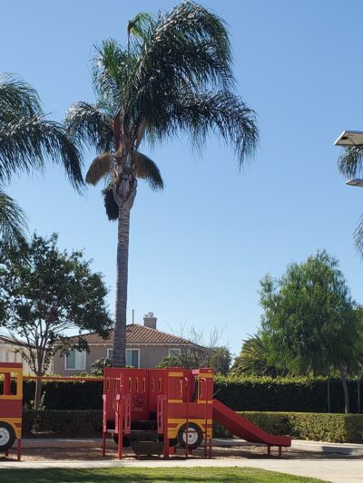 Denni Street Park - La Palma, CA