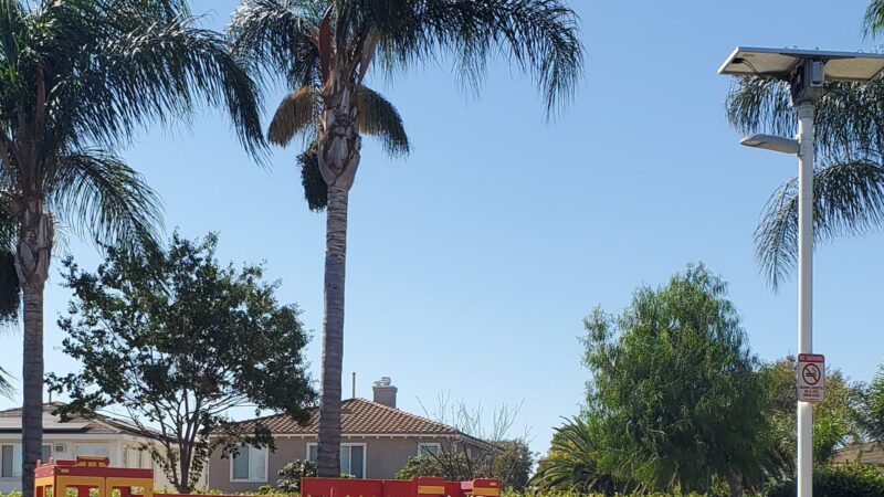 Denni Street Park - La Palma, CA