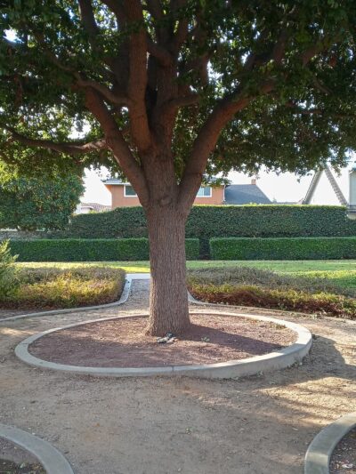 El Rancho Verde Park - La Palma, CA