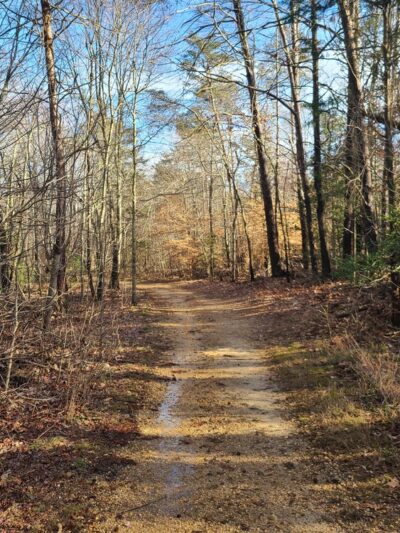 Laurel Springs Regional Park - La Plata, MD