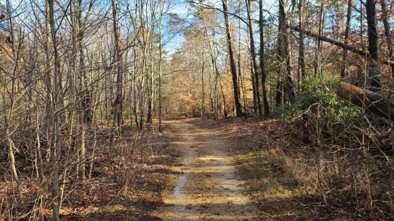 Laurel Springs Regional Park - La Plata, MD