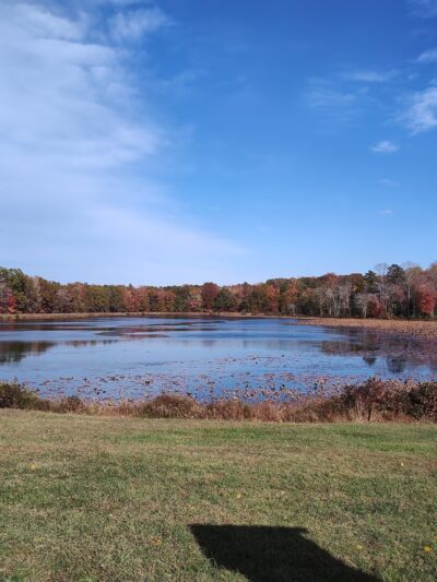 Myrtle Grove Wildlife Management Area - La Plata, MD