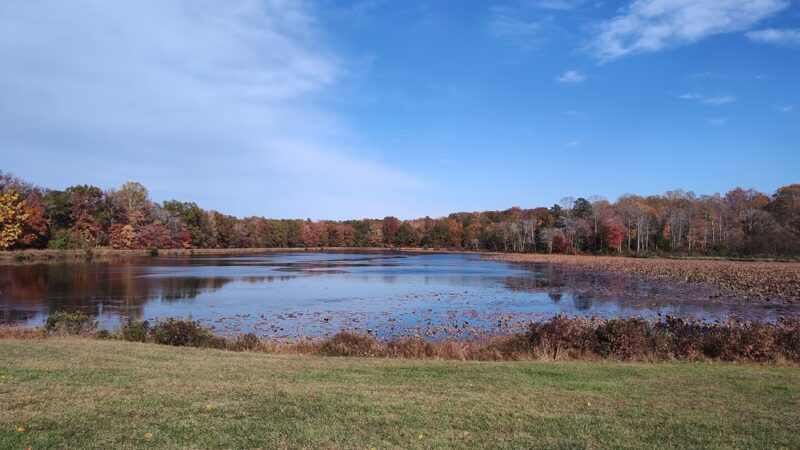 Myrtle Grove Wildlife Management Area - La Plata, MD