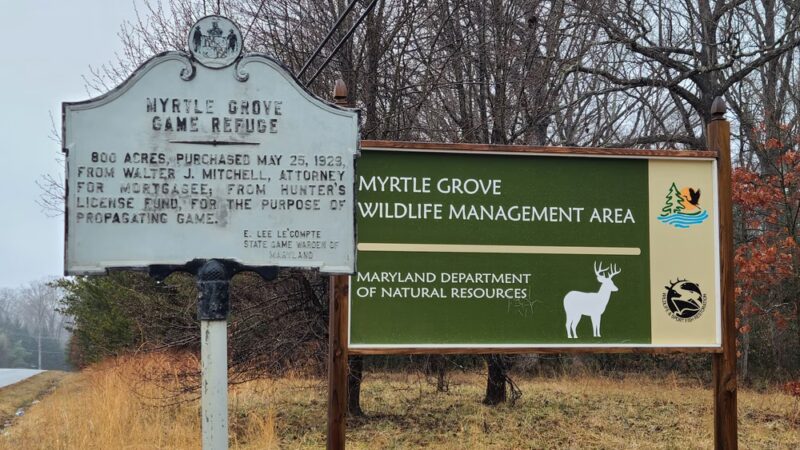 Myrtle Grove Wildlife Management Area - La Plata, MD