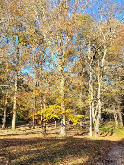 Silver Linden Park - La Plata, MD