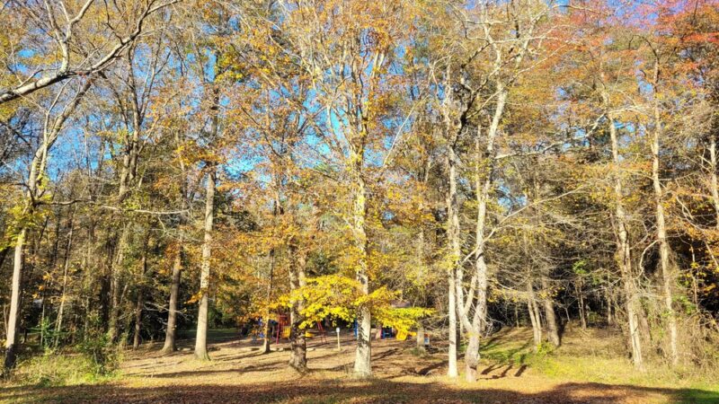 Silver Linden Park - La Plata, MD