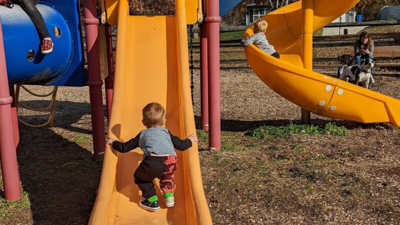 Wills Memorial Park - La Plata, MD