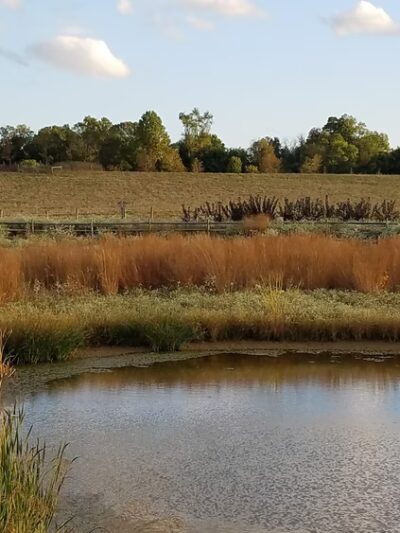Dixon Meadow Preserve - Dixon Meadow House - Lafayette Hill, PA