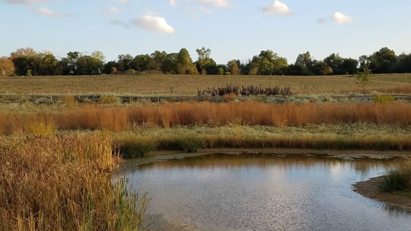 Dixon Meadow Preserve - Dixon Meadow House - Lafayette Hill, PA