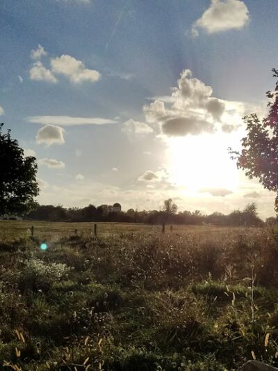 Dixon Meadow Preserve - Dixon Meadow House - Lafayette Hill, PA