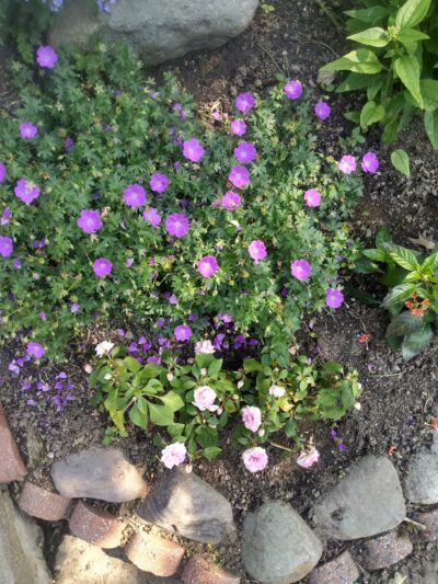 Whitemarsh Township Parks and Recreation - Lafayette Hill, PA