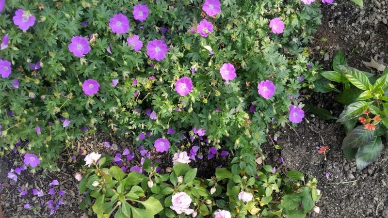 Whitemarsh Township Parks and Recreation - Lafayette Hill, PA