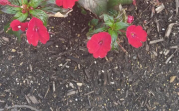 Whitemarsh Township Parks and Recreation - Lafayette Hill, PA