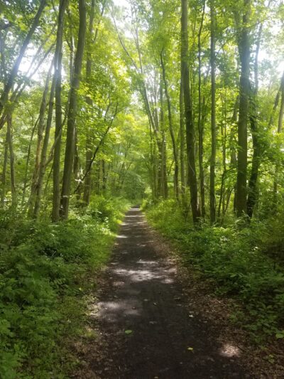 Paulinskill Valley Trail Parking - Lafayette Township, NJ