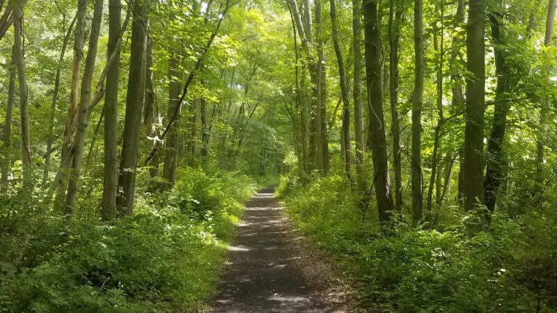 Paulinskill Valley Trail Parking - Lafayette Township, NJ