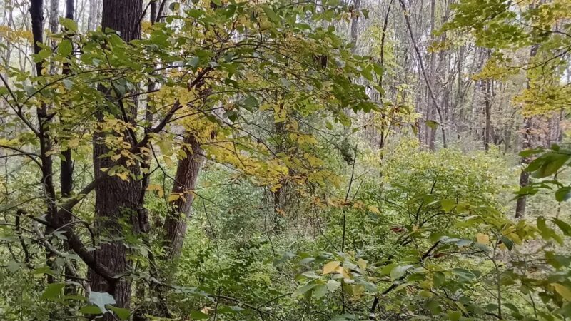 Paulinskill Valley Trail Parking - Lafayette Township, NJ