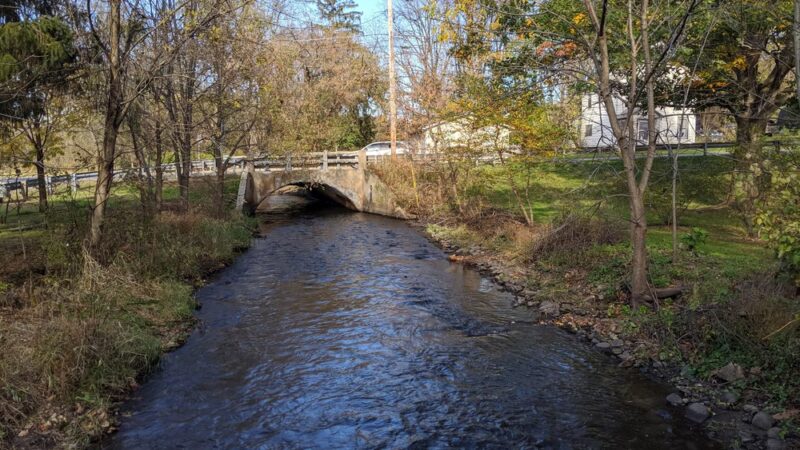 Lafayette Pond Park - Lafayette Township, NJ