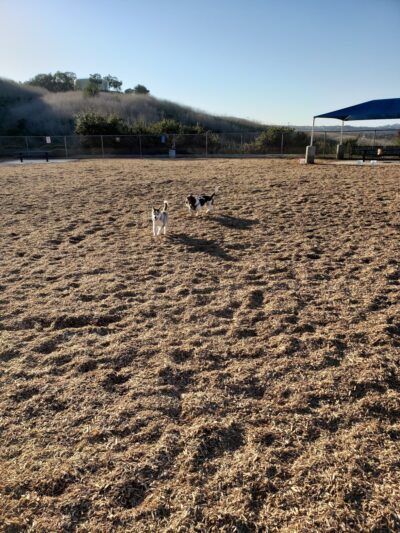Laguna Niguel Pooch Park - Laguna Niguel, CA