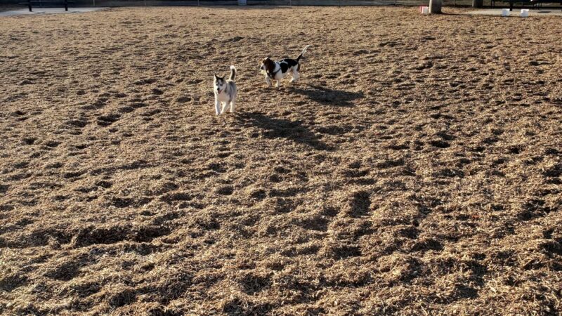 Laguna Niguel Pooch Park - Laguna Niguel, CA