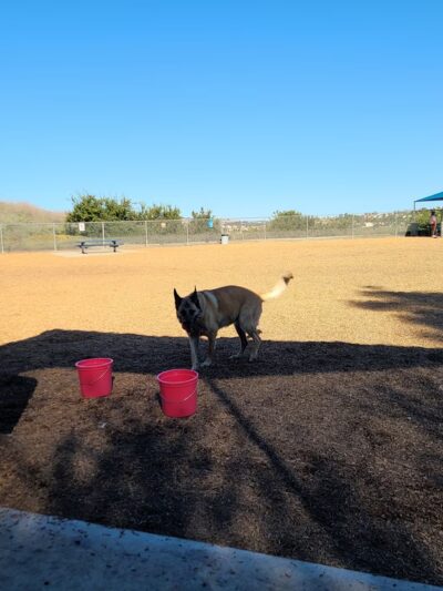 Laguna Niguel Pooch Park - Laguna Niguel, CA
