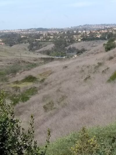 Laguna Niguel Pooch Park - Laguna Niguel, CA