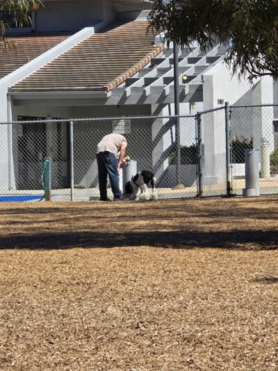 Laguna Niguel Pooch Park - Laguna Niguel, CA