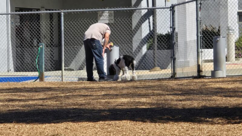 Laguna Niguel Pooch Park - Laguna Niguel, CA