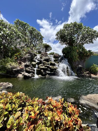 Honoapiilani Dog Park - Lahaina, HI